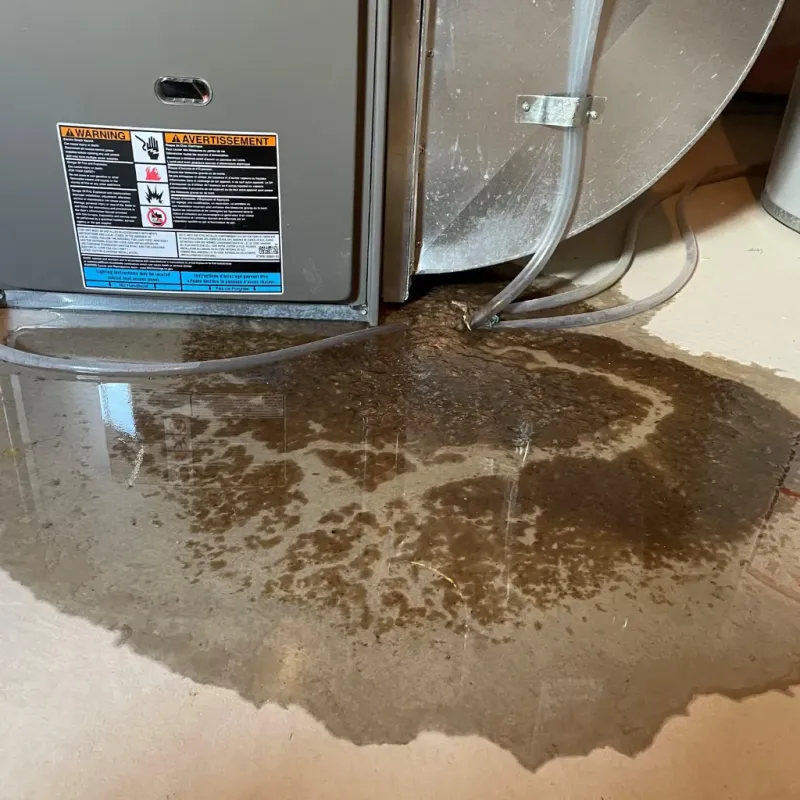 Appliance Leak Cleanup in Mount Rainier, MD